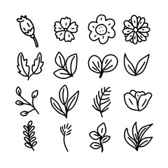 set of hand drawn line art garden plant