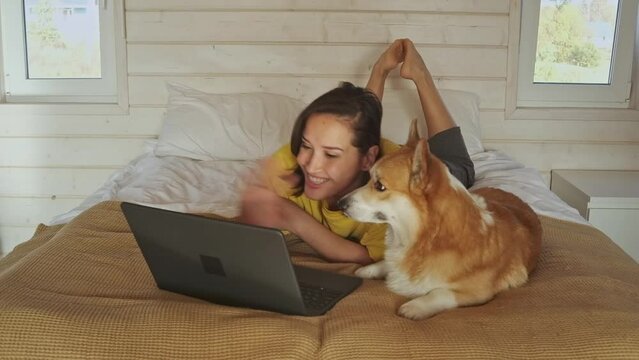 Young woman works from home, smiles when types on laptop. Pet corgi dog sits on top of sofa