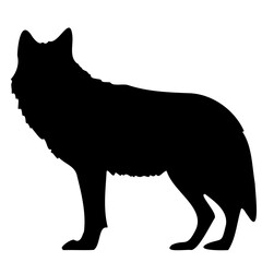 Wolf silhouette