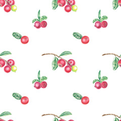 Seamless pattern with hand painted red lingonberry and green leaves. Watercolor botanical illustration isolated element. Art for food design, logo, pattern, composition, wallpaper.