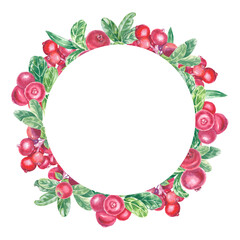 Wreath with hand painted red lingonberry, cowberry, cranberry and leaves. Watercolor botanical illustration isolated element. Art for food design menu, logo, christmas composition, holiday frame