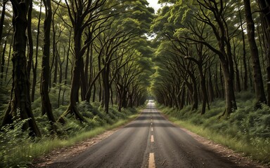 Fototapeta premium Harmony in the Woods Nurturing Ecology through Sustainable Practices ai generated