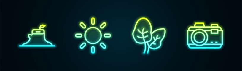 Set line Tree stump, Sun, Tropical leaves and Photo camera. Glowing neon icon. Vector