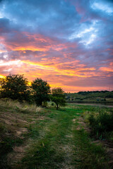 Obraz premium Sunrise on the lake. Morning lake over the forest, Trees on the beach.Red sunrise