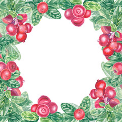 Frame with hand painted red lingonberry, cowberry, cranberry and leaves. Watercolor botanical illustration isolated element. Art for food design menu, logo, composition, frame.