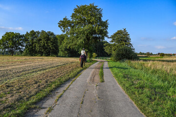 Obraz premium Eine Frau reitet auf einem Pferd eine Feldstraße entlang
