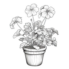 Black and white line drawing of a potted plant with flowers in full bloom.,A Potted Plant in Bloom,Nature's Sketch: A Potted Plant in Bloom