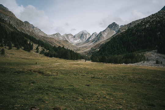 Wanderweg oim Pfossental. Im Hintergrund wundersch&ouml;ne Berge der Texelgruppe in S&uuml;dtirol Sp&auml;tsommer 2