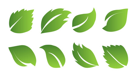 A set of green leaves on a white background, for logos, icons, designs, for the symbolism of the green planet