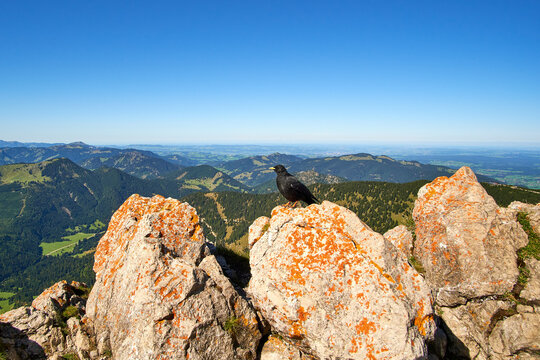 Aggenstein, Pfronten, Allg&auml;u, Deutschland