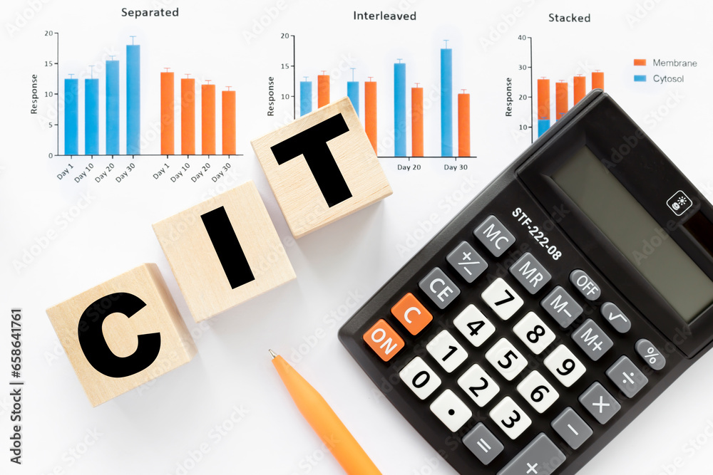 Wall mural cit. text on wooden blocks. financial charts