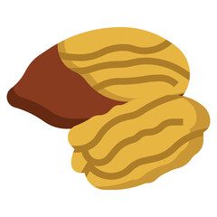 pecan filled outline icon,linear,outline,graphic,illustration