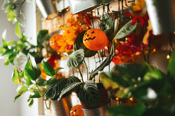 Spooky pumpkin decoration for halloween in coffee shop with plants and lights