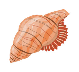 Vector cartoon illustration of colorful seashells on white background.