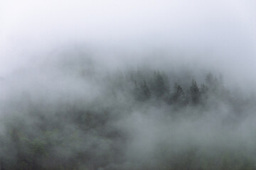 Amazing panoramic landscape mountain forests covering with a lot of fog after rain. - 658648353