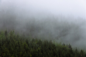 Amazing panoramic landscape mountain forests covering with a lot of fog after rain.