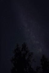 Milky Way shot over the trees