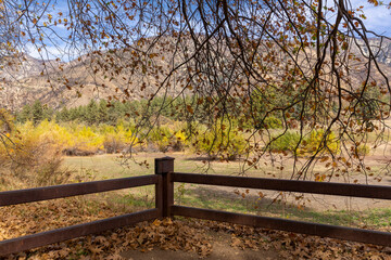 Fototapeta premium Fall Colors 