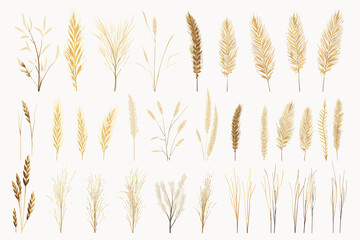 dry grass set vector flat minimalistic isolated vector style illustration