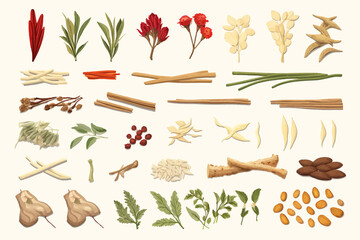 Traditional Chinese Medicine Herbs set vector isolated vector style illustration - obrazy, fototapety, plakaty