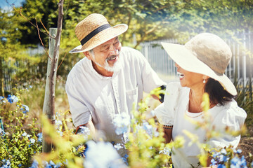 Naklejka na ściany i meble Couple, gardening and happy in nature for retirement, love and bonding with smile. Senior people, quality time and care in marriage, garden and hat for protection from sun, hobby in spring in outdoor
