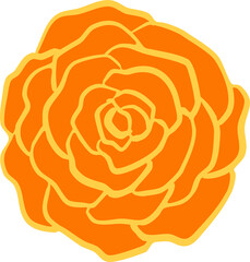 Bright Colorful Flower