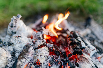 Bonfire close up. Burning firewood in nature against the background of grass. Ashes and coals,...