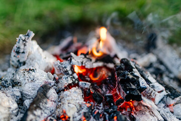 Bonfire close up. Burning firewood in nature against the background of grass. Ashes and coals, camping. Forest fires