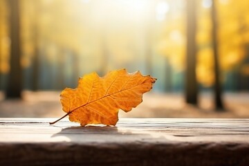 Naklejka na ściany i meble Autumn's Beauty: Orange Leaf on Wooden Table in the Park