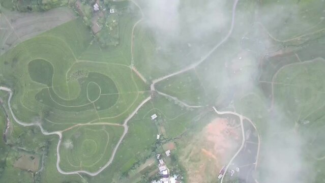 Sri Lanka Upcountry Tea Field View on Top. The Peaceful Villages  
in Nuwara Eliya District Sri Lanka. 