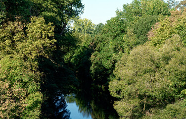 Peaceful atmosphere in nature: river with wooded banks