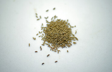 Food, isolated detail shot: caraway seeds, seeds against a white background with copy space - obrazy, fototapety, plakaty