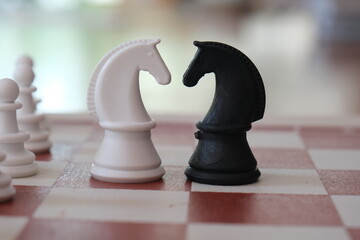 white and black knight facing each other in chess. Black and white chess knight standing side by side, experiencing impossible love © onur