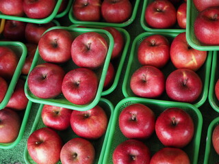 Delicious apples in the green basket