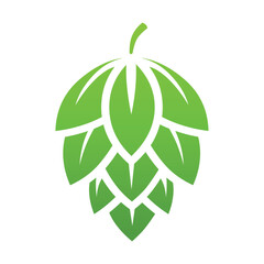 Green hop flower on a white background