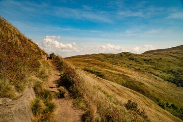 A mountain range in the Bieszczady Mountains in the area of Tarnica, Halicz and Rozsypaniec.