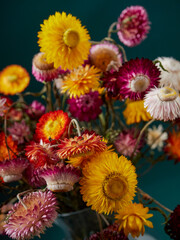 Set with beautiful dry flowers on a black background