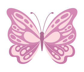 butterfly natural isolated