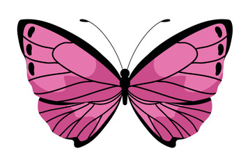 butterfly nature illustration