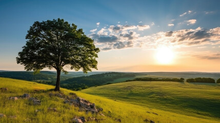 Landscape view of one big tree on the top of the hill with green grass on a hillside with blue sky and clouds in the background. Generative Ai