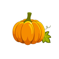 pumpkin on a white background, halloween pumpkin, Halloween element 