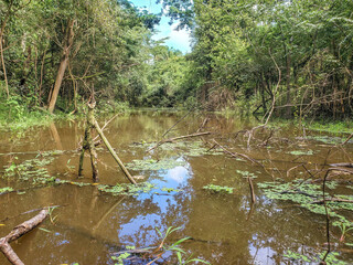 Canoe tour, going down amazon river in Peru