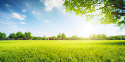 Fototapeta premium Forest Glade With Trees On The Horizon On A Blue Sky Background Created Using Artificial Intelligence