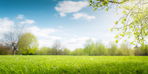 Fototapeta premium Forest Glade With Trees On The Horizon On A Blue Sky Background Created Using Artificial Intelligence