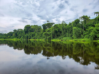 Canoe tour, going down amazon river in Peru