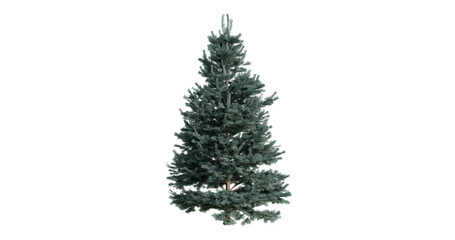 Fototapeta premium christmas tree isolated on white