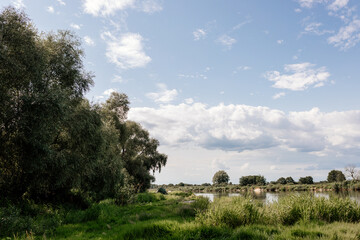 Beautiful summer landscape by the river with blue sky on a sunny summer day. Green grass and trees, on the shore of a lake in the sun. Camping. Summer background.