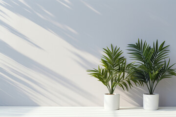 Obraz premium Elevate Your Space with a Stunning Palm Tree in a Vase: Interior Decor Ideas