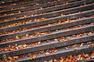 Herbsttreppe