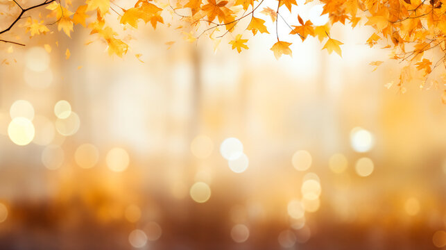 Autumn leaves over a blurred background, beautiful fall colors
